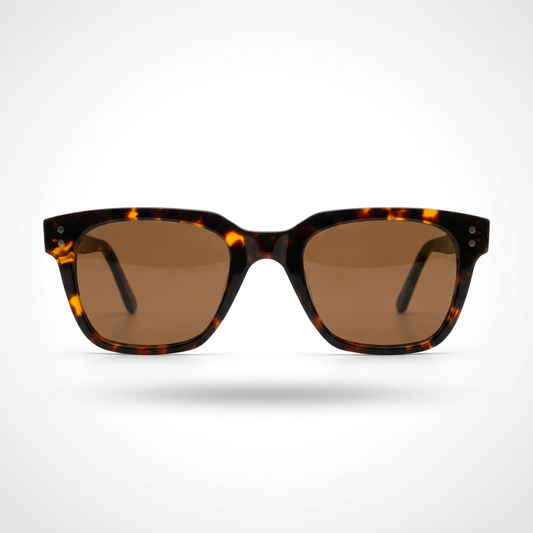 Lunettes Soleil Magnétique 2en1